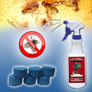 Fruit Fly Solutions
